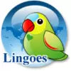 Decubrir más sobre Lingoes