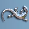 Argus Monitor